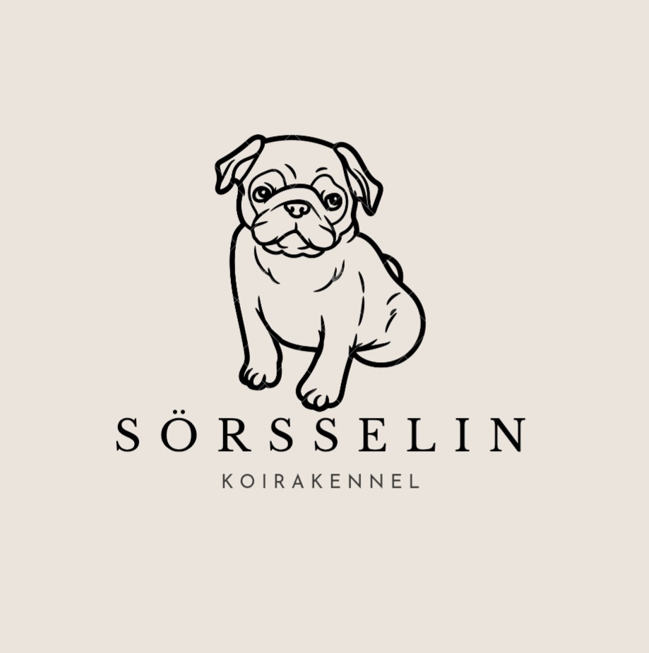 Sörsselin